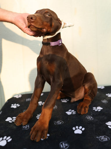 a54777_511b6c777c6149b2b35c700faff8cfbf~mv2