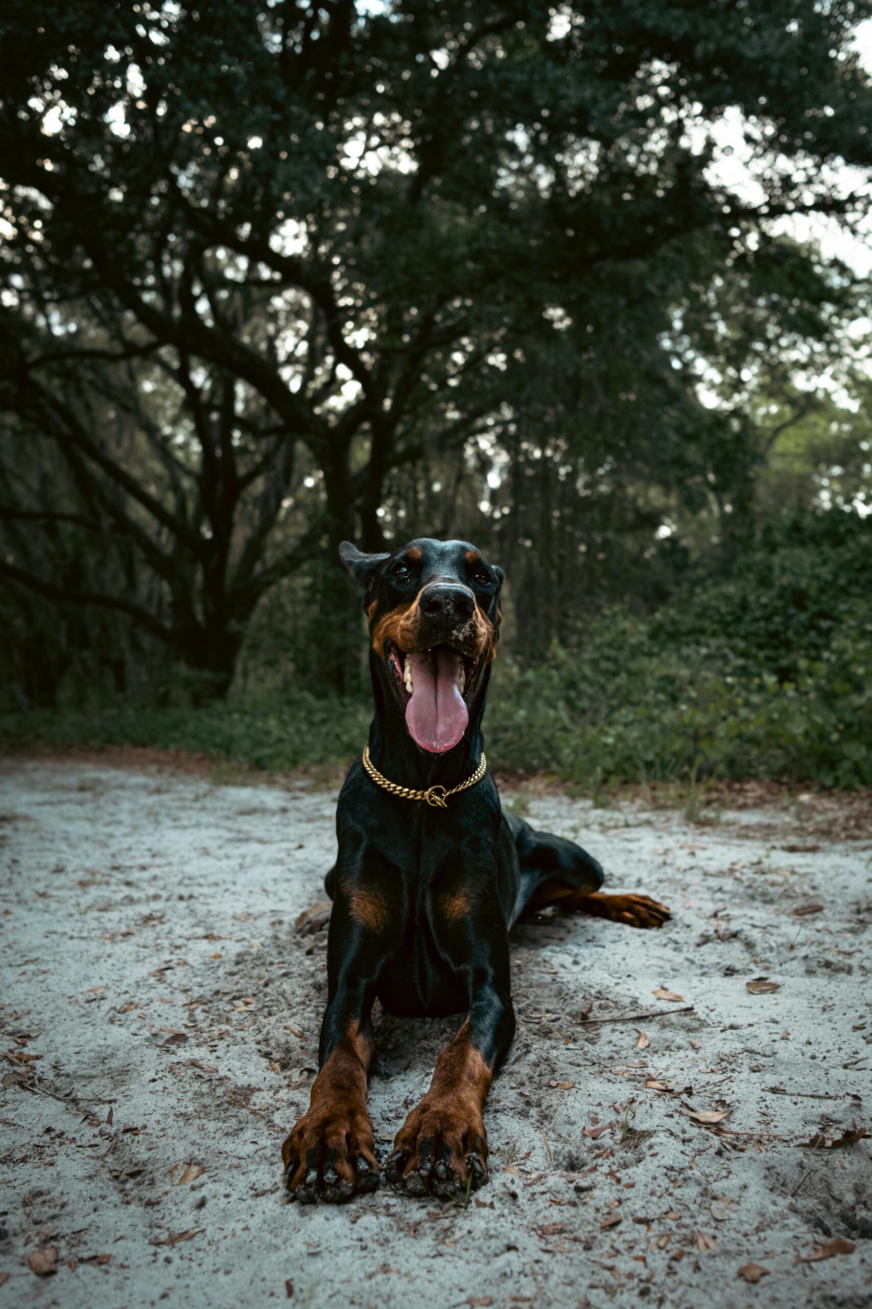 pexels-connorscottmcmanus-12455868